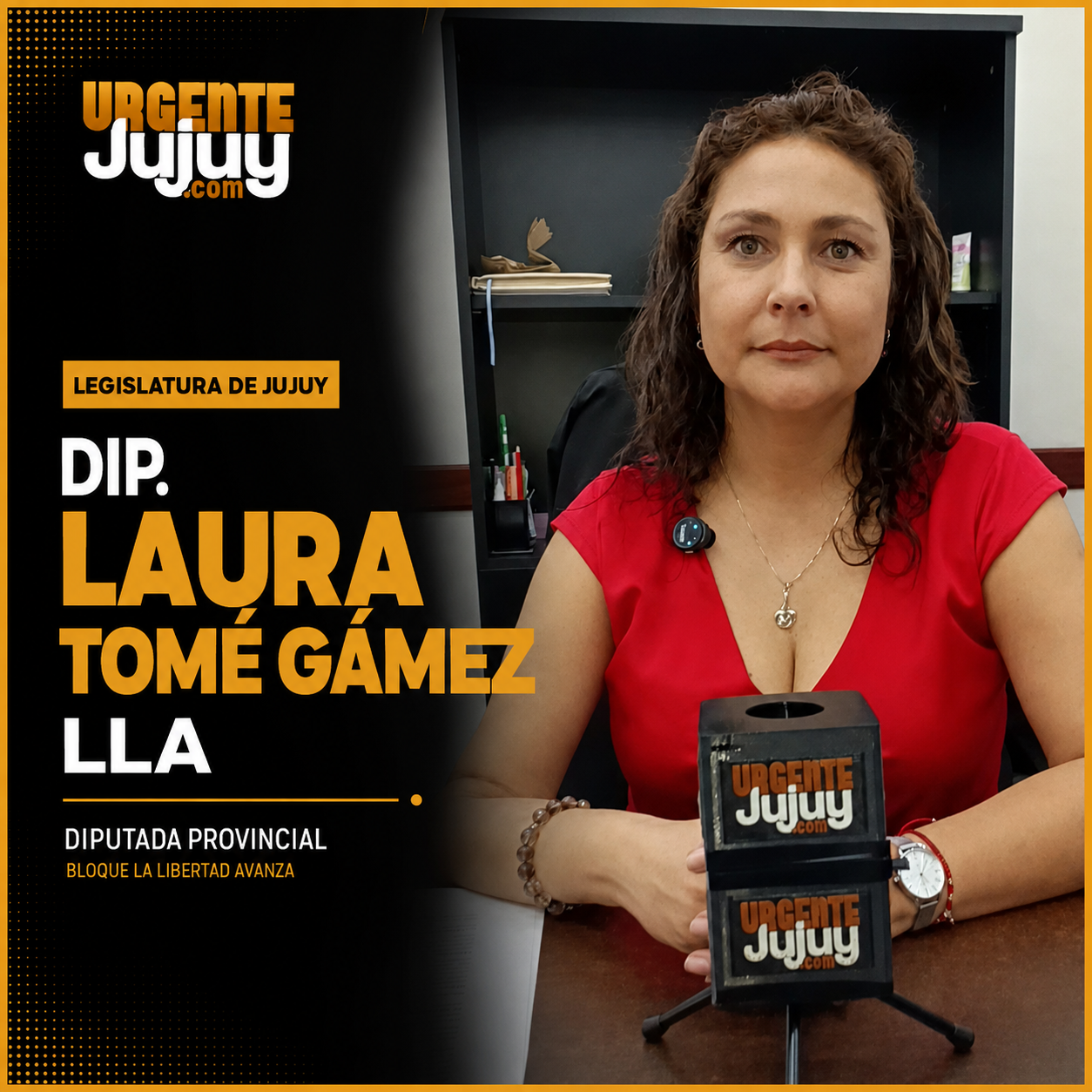 La diputada Laura Tomé Gámez señaló que vienen trabajando sobre ejes temáticos para tener una mirada transversal sobre el deporte, la niñez y las nuevas tecnologías
